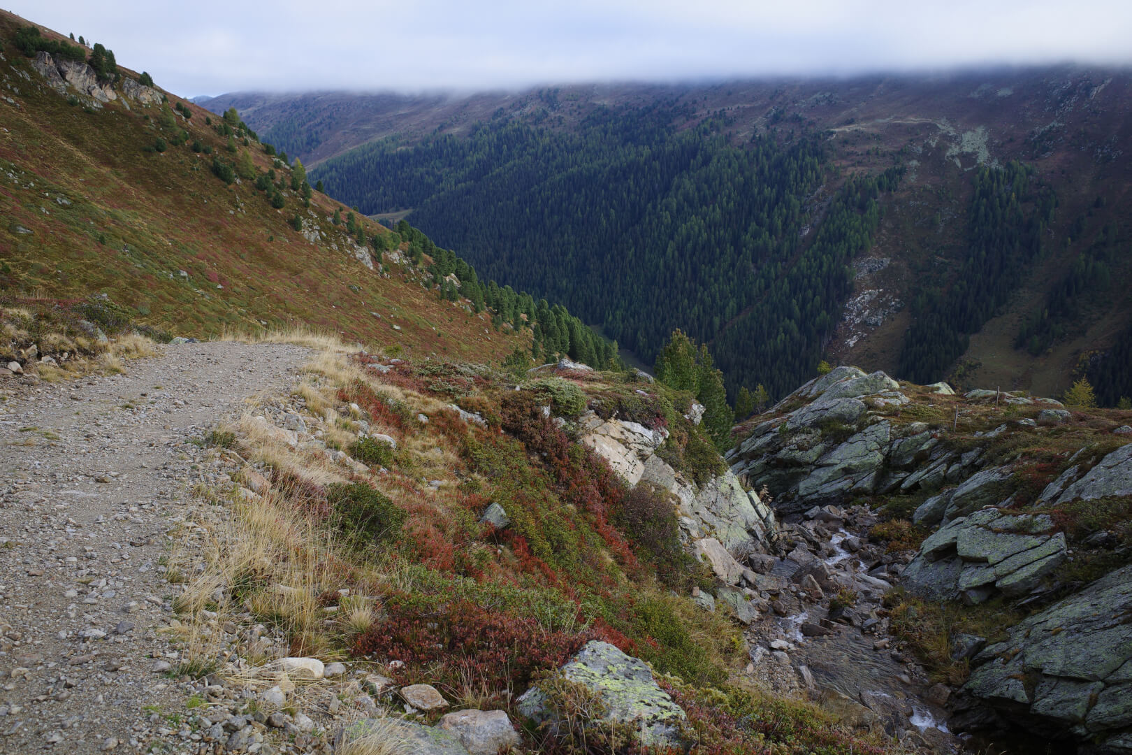 Weg zur Alp Rüedischtälli