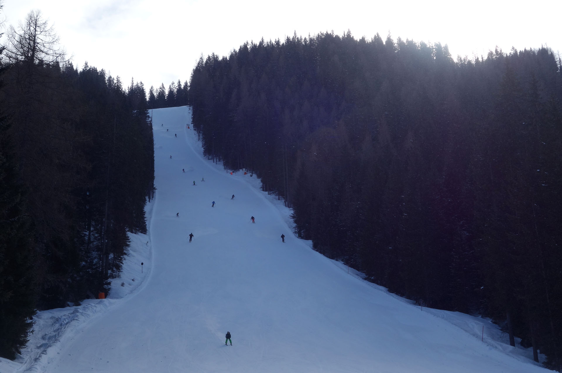 Holzriese