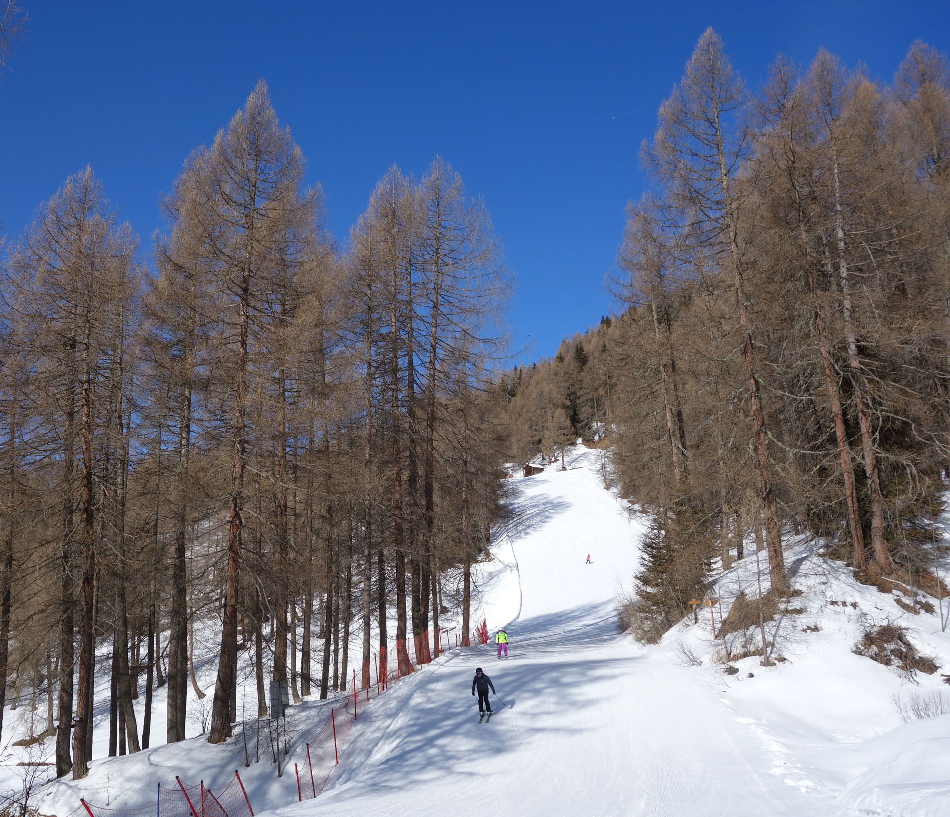 Skipiste zwischen Lärchen.