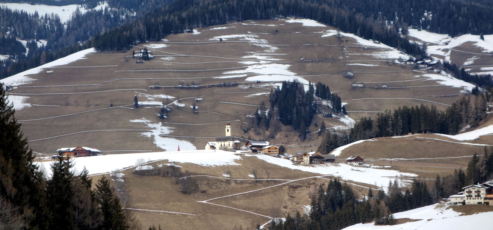 Südhang mit Schneeresten