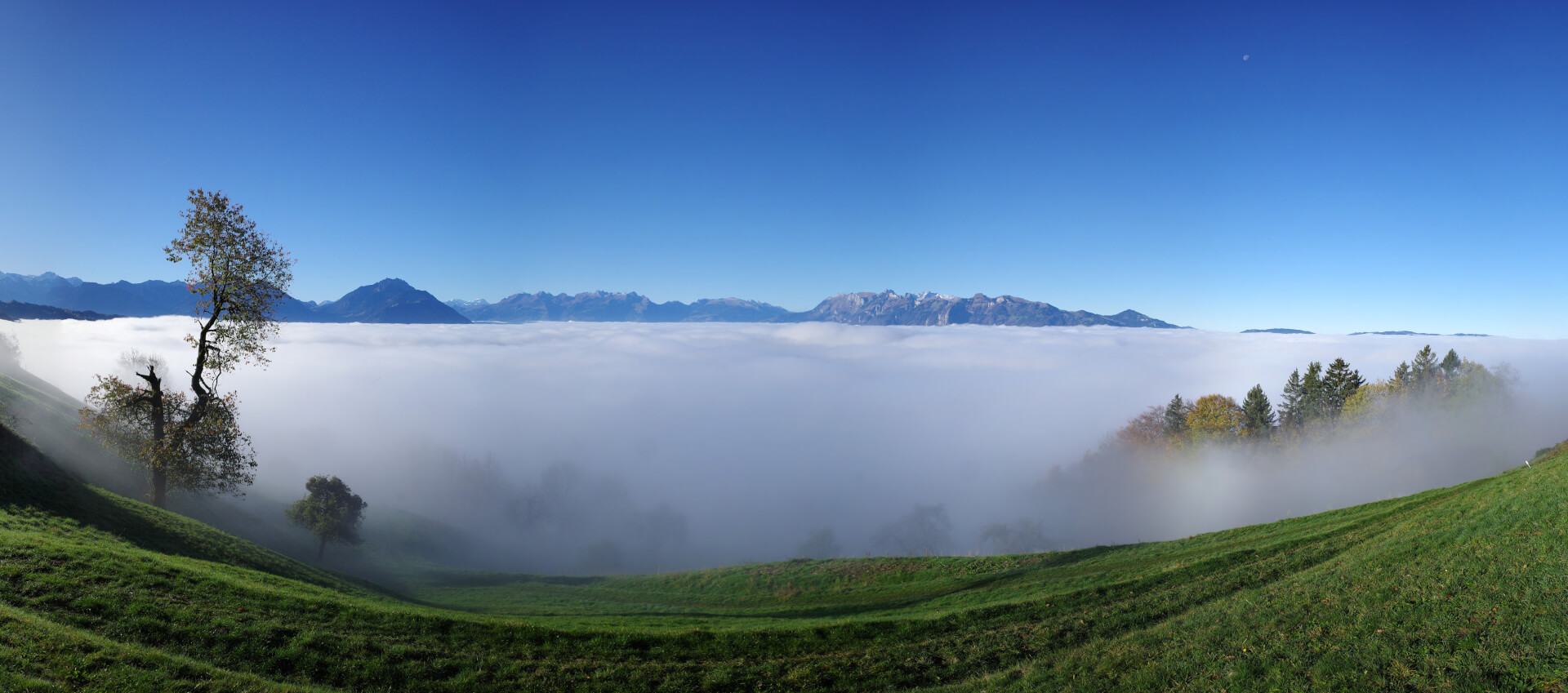 Knapp über dem Nebel