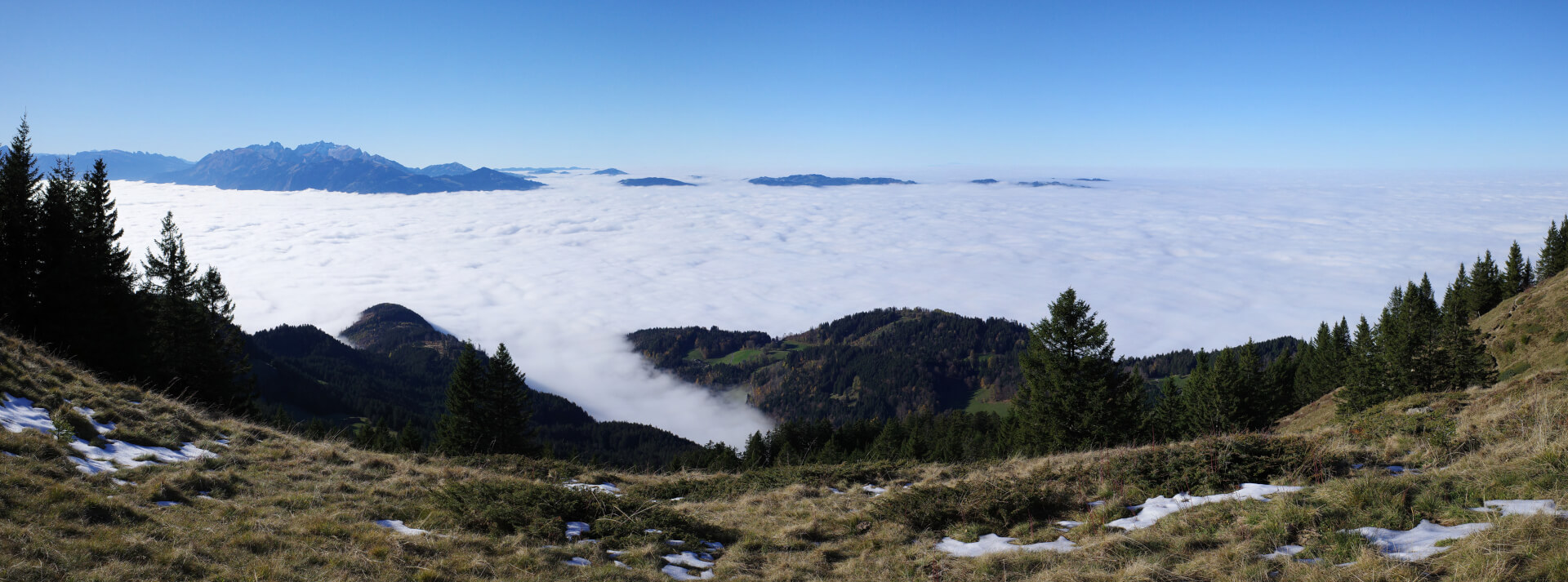 Nebel im Rheintal