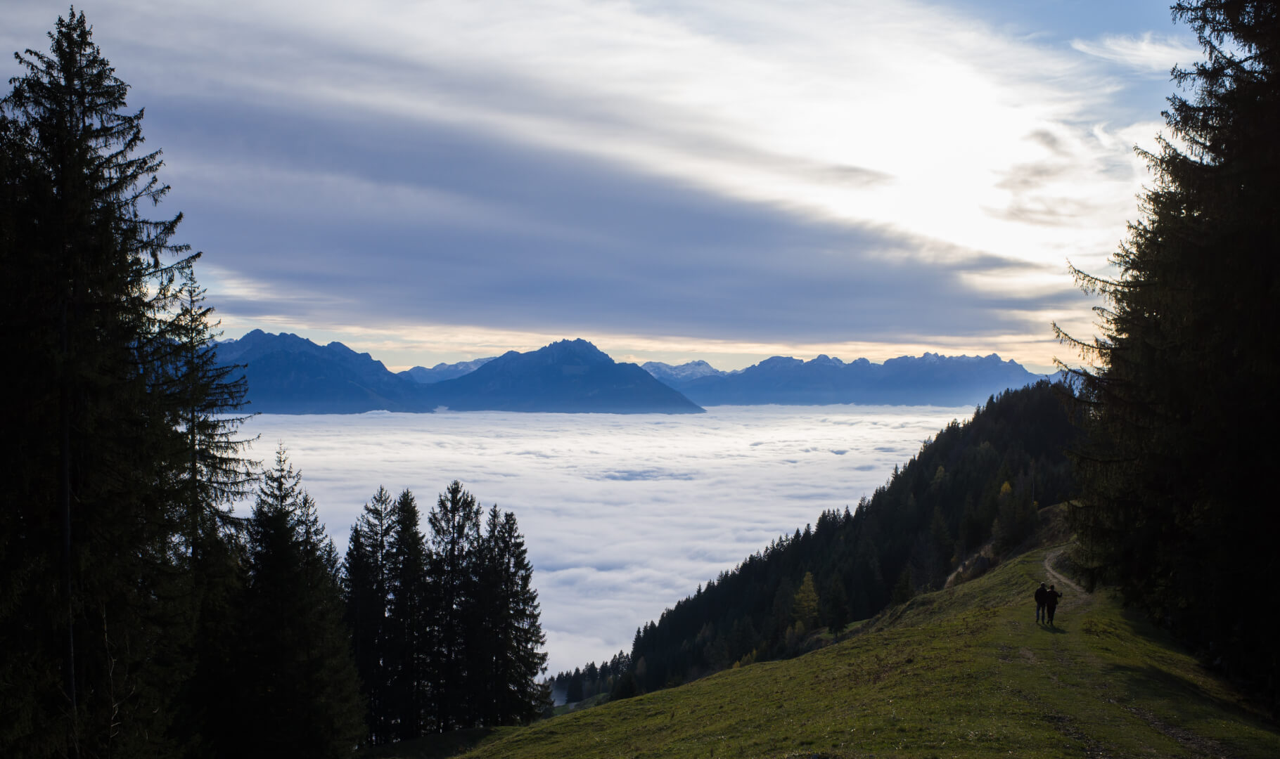 Nebelmeer am Abend