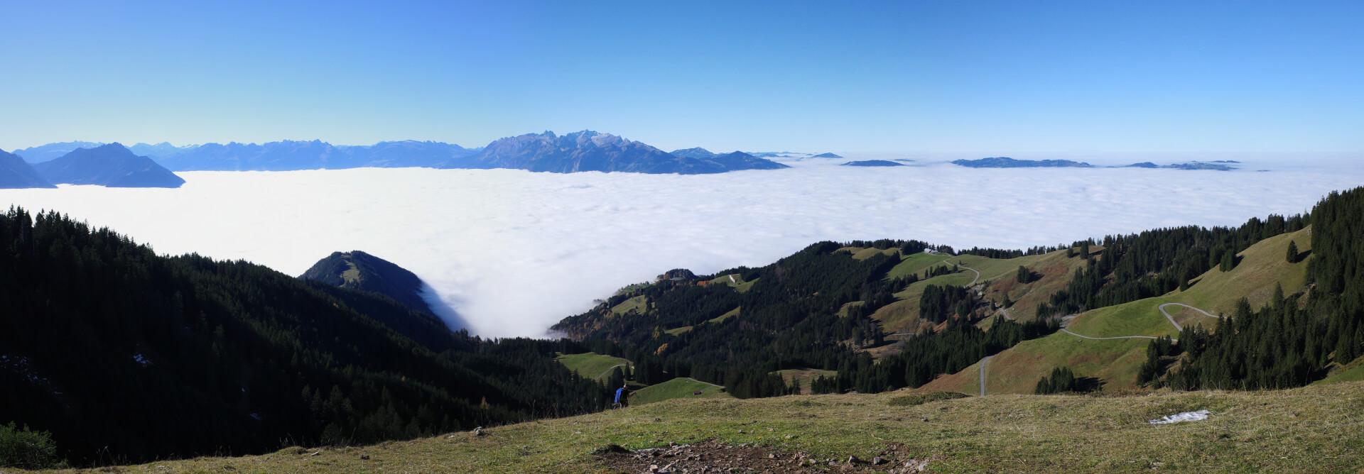 Panorama First