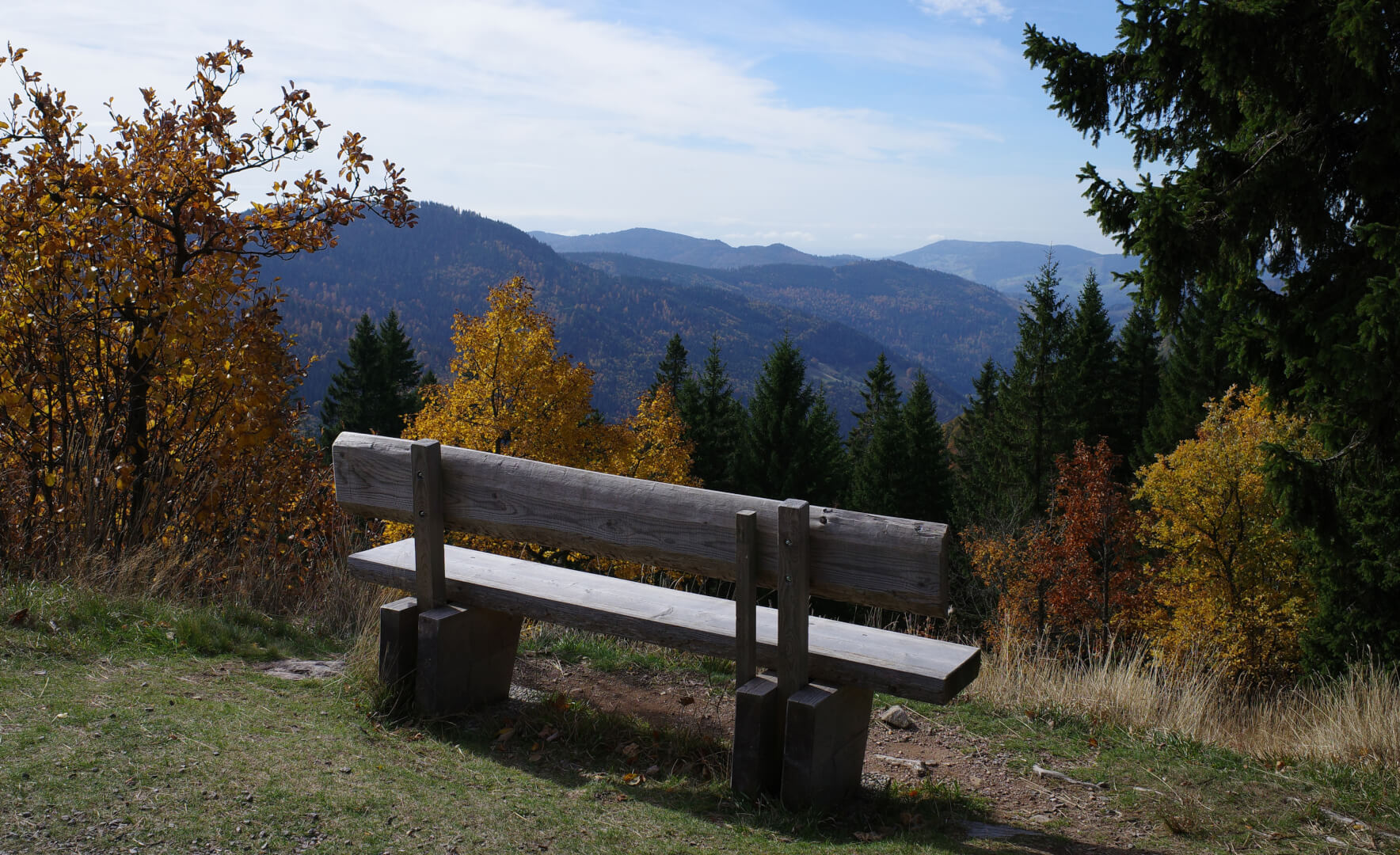 Aussichtsbank