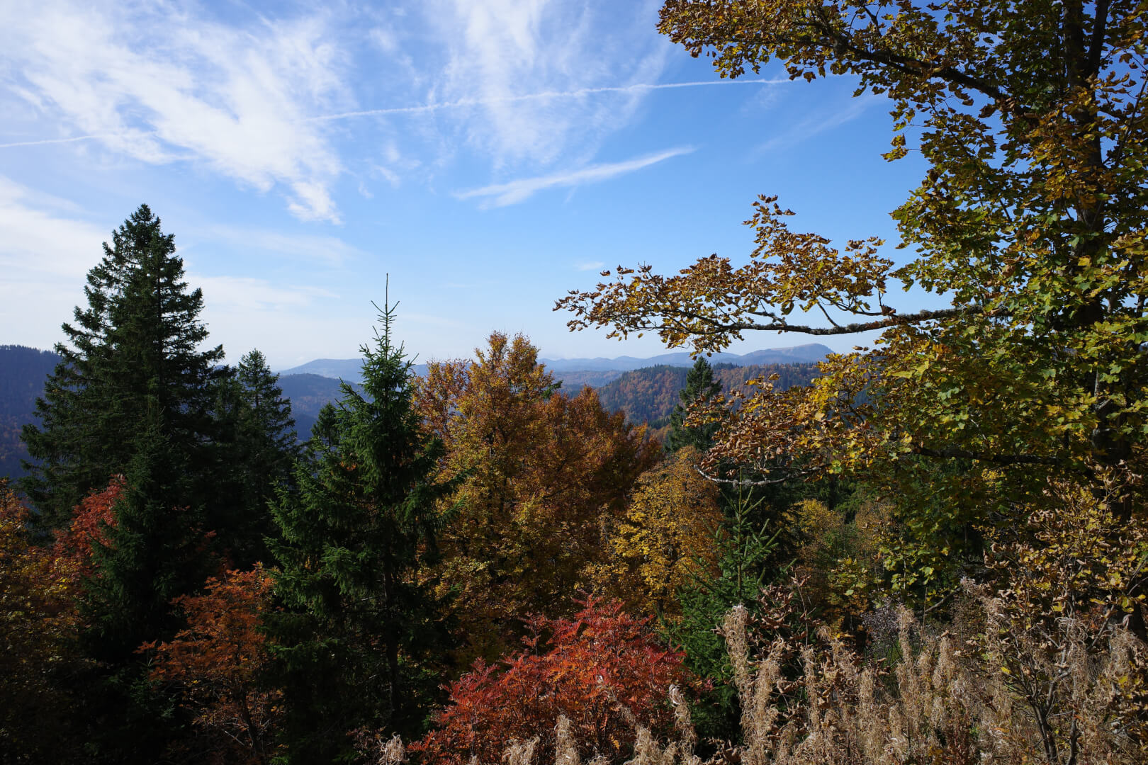 Bunte Herbstfarben