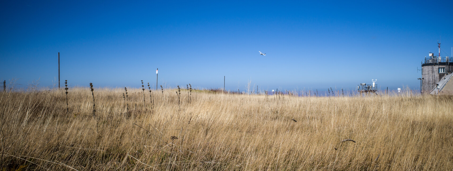 Graslandschaft Feldberg