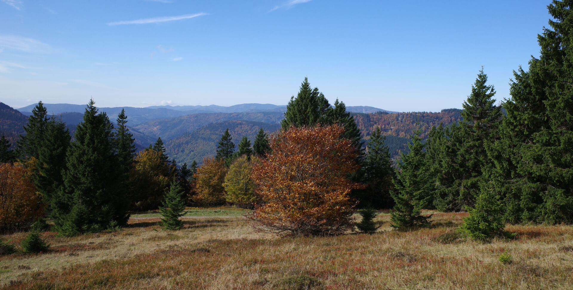 Herbst im Schwarzwald
