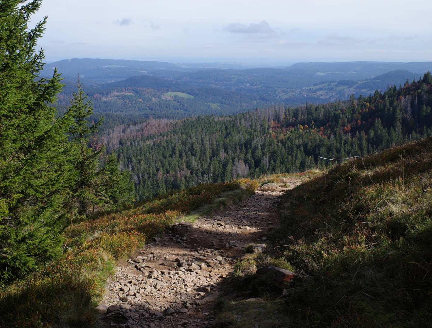 Rundwanderung Feldberg