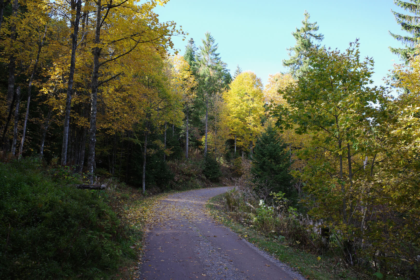 Seewaldweg