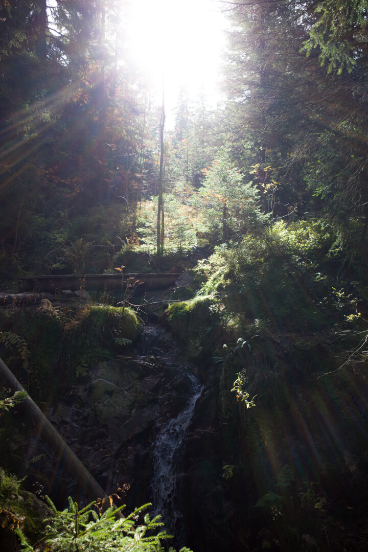 Sonnenstrahlen mit Holzbrücke über Bach