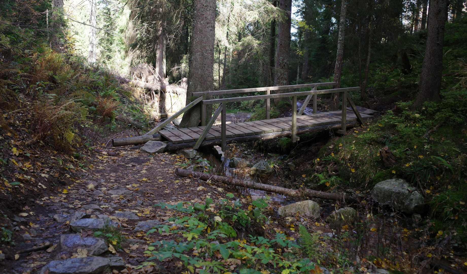 Sägebachschlag-Steig