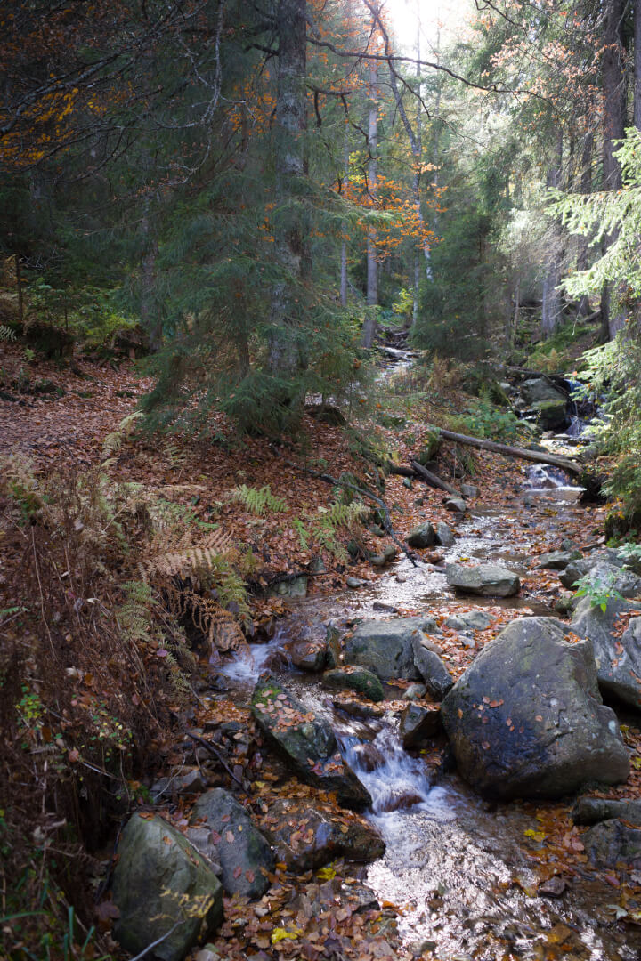 Sägenbach
