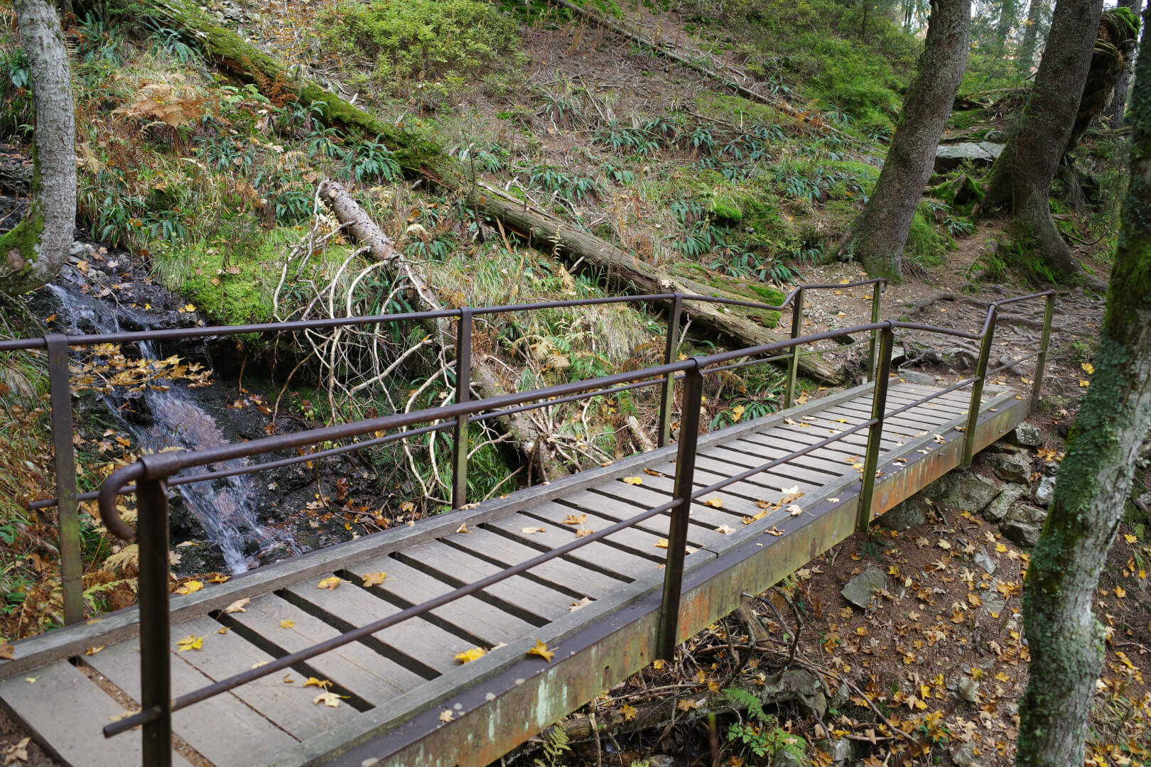 Wanderweg über Brücke