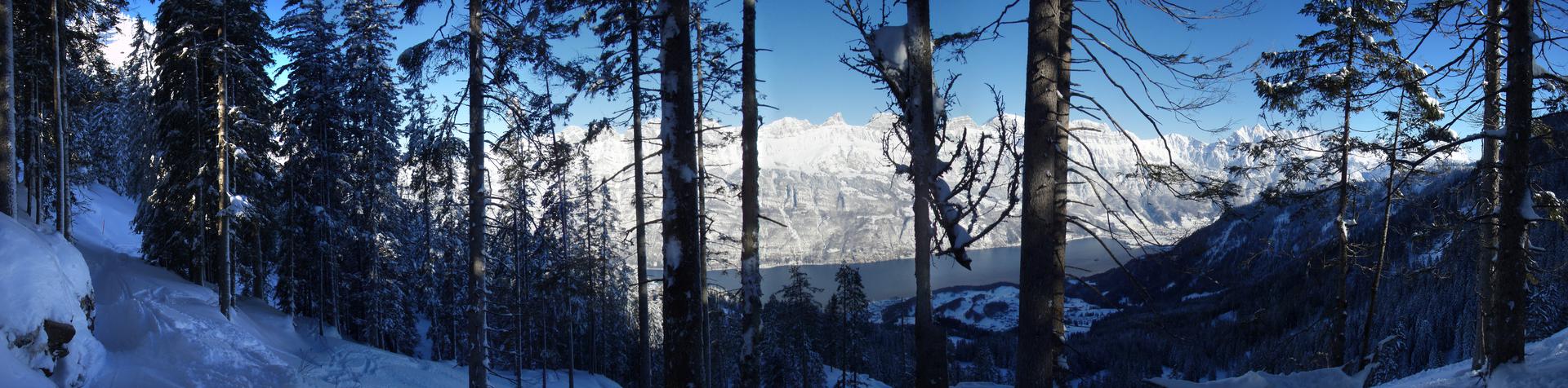 Schmale Piste durch Wald