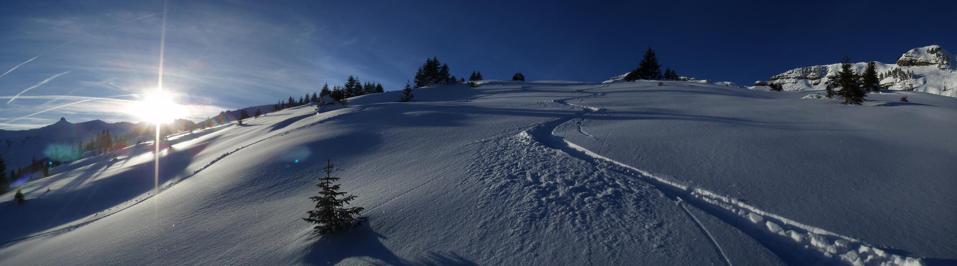 Spuren im Tiefschnee bei Sonnenuntergang