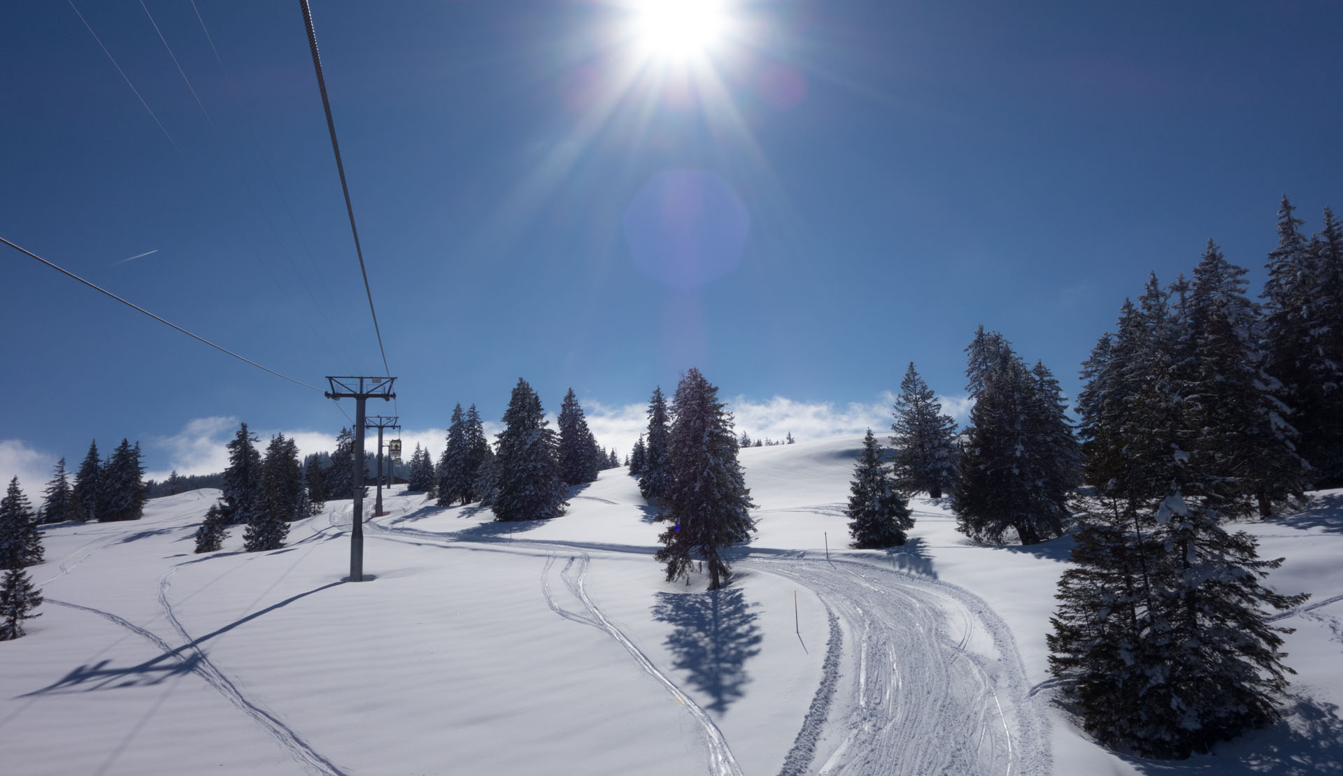 Schlittelbahn Prodalp