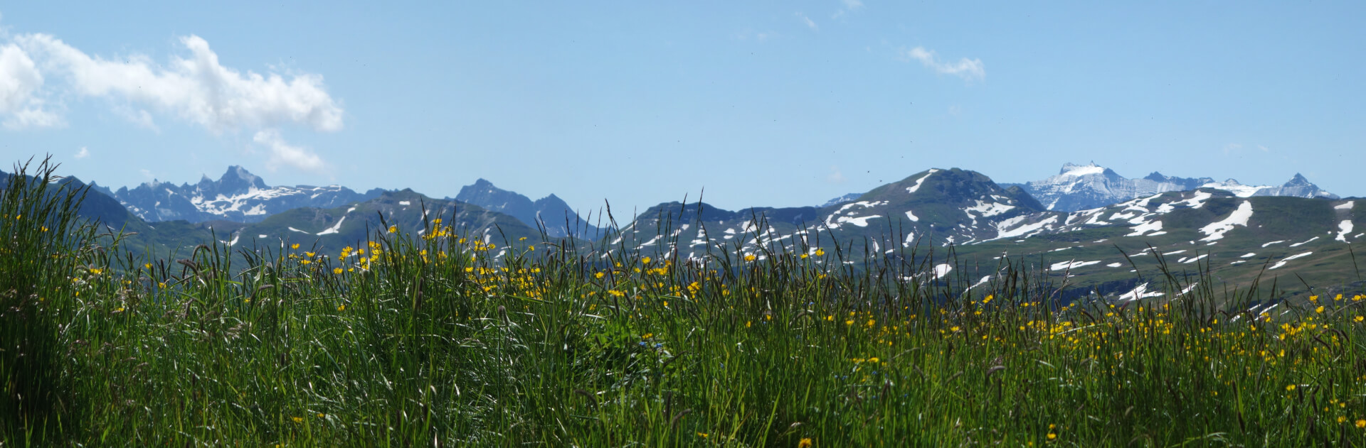 Bergpanorama hinter Wiese