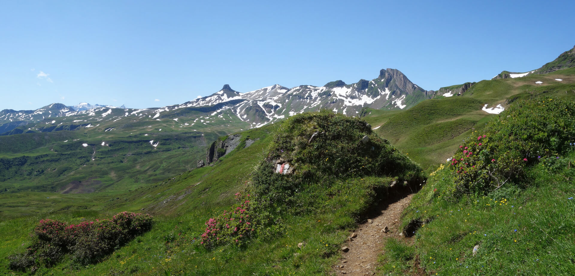 Wanderweg mit Spitzmeilen