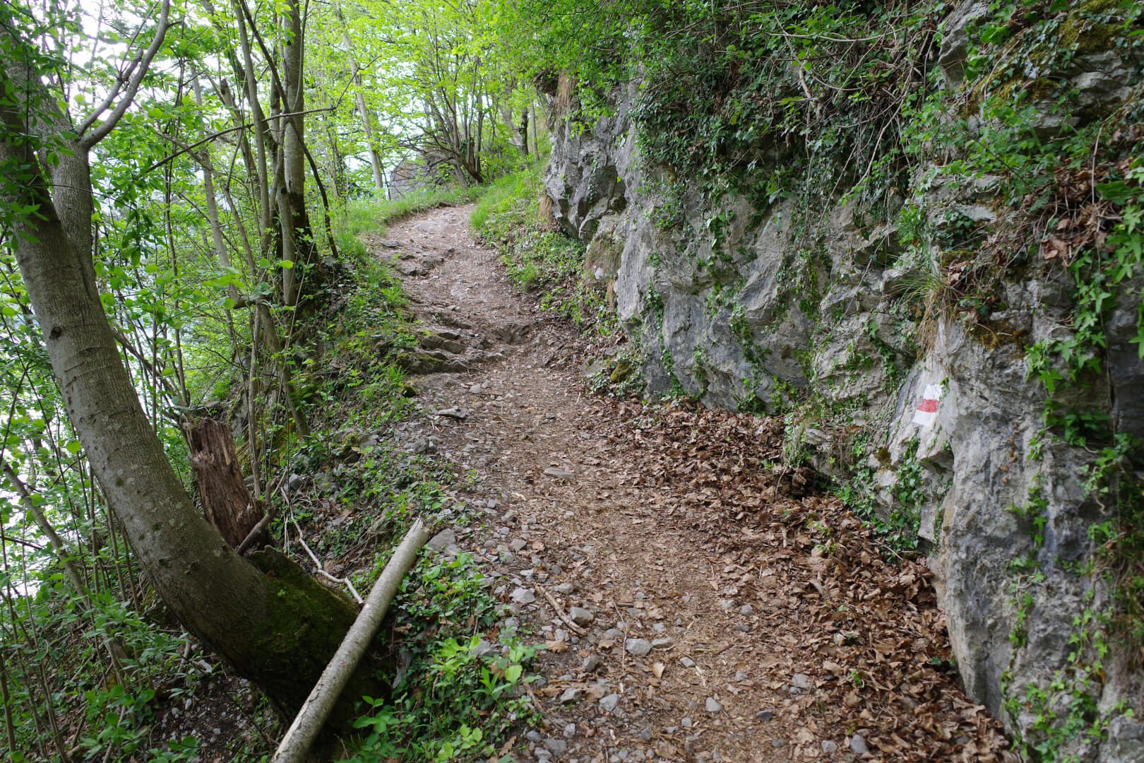 Bergweg am Fels