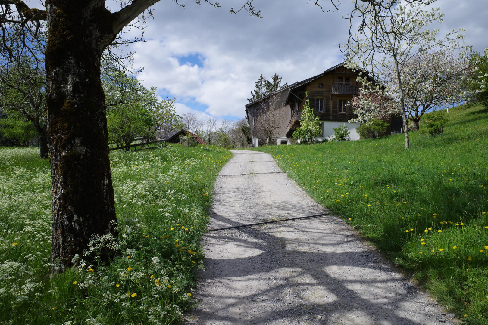Frühling
