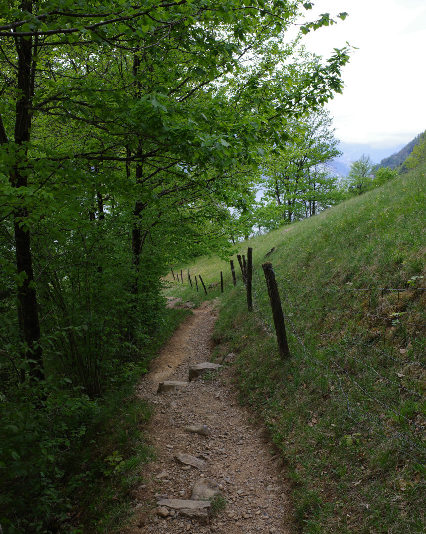 Joseweg