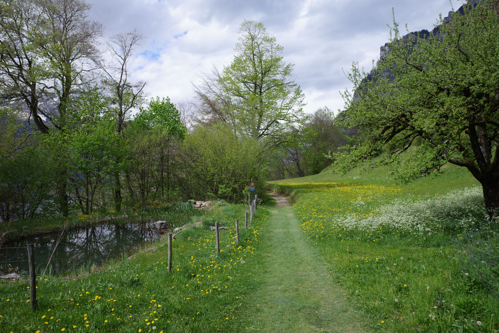 Kleiner Teich am Wegrand