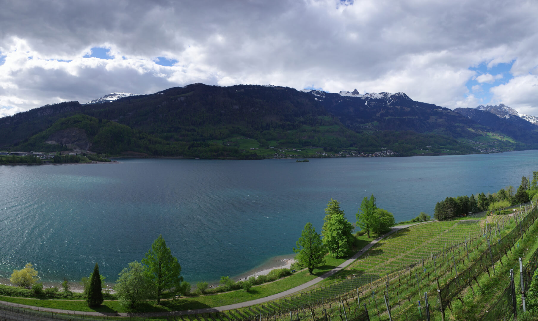Weinberg am Walensee