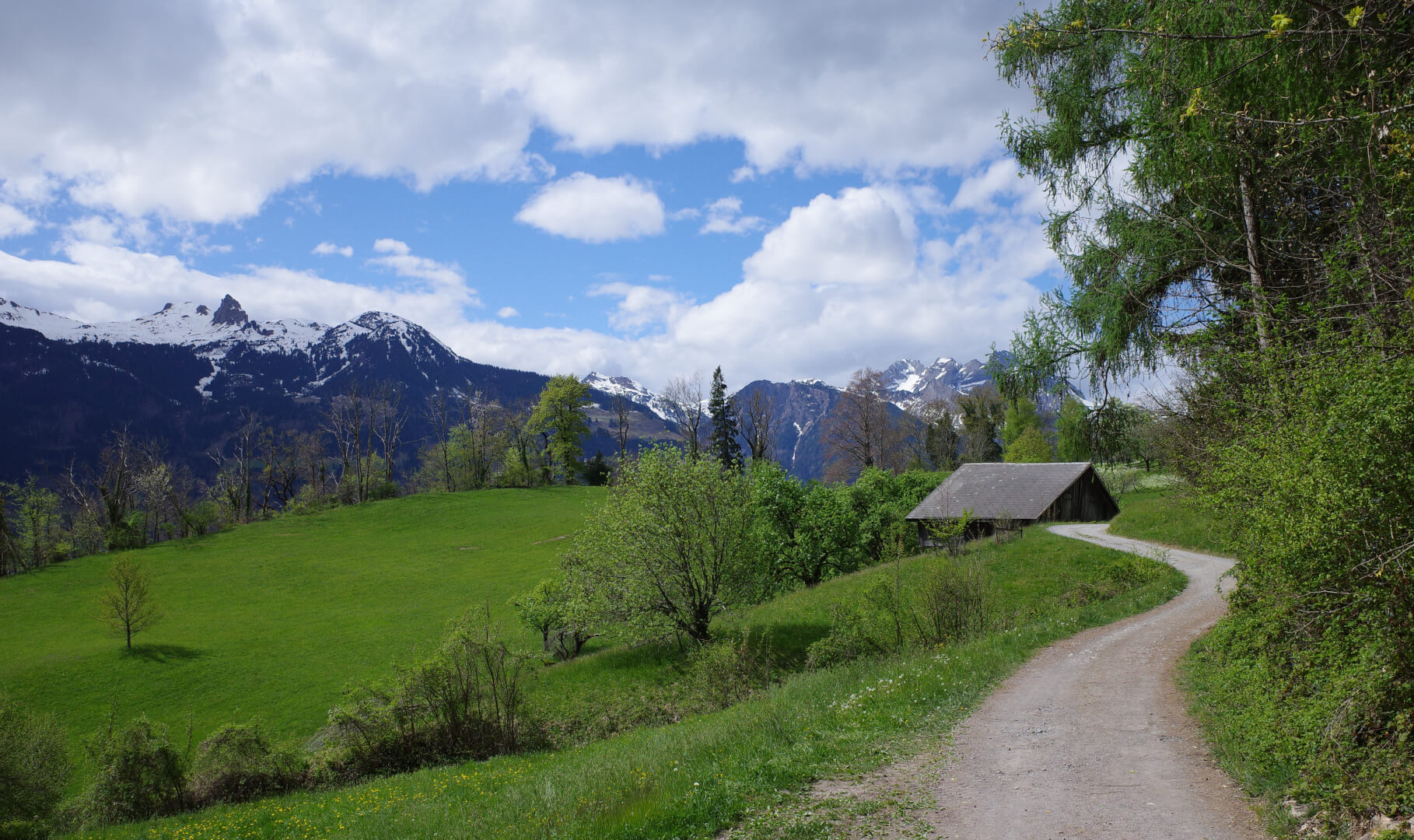 Wiese bei Walenstadtberg
