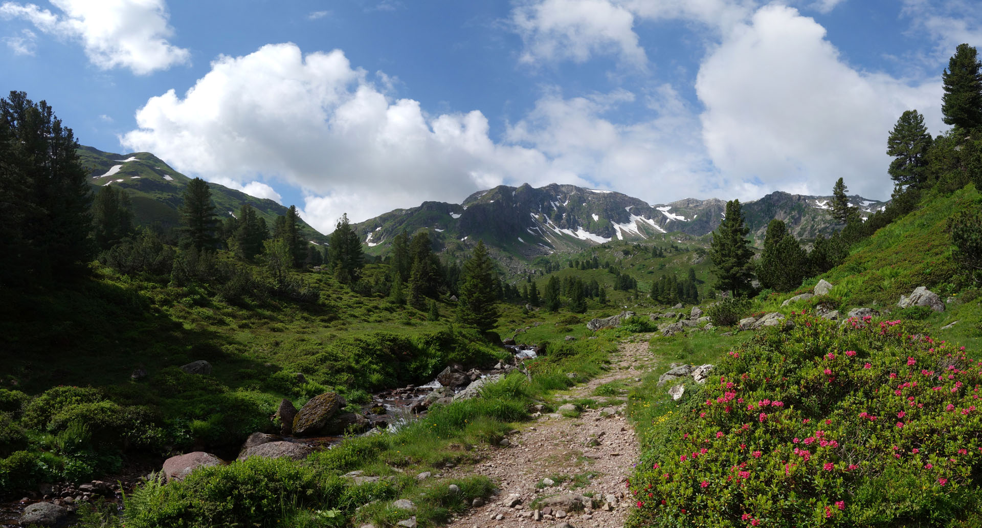 Alpenrosen