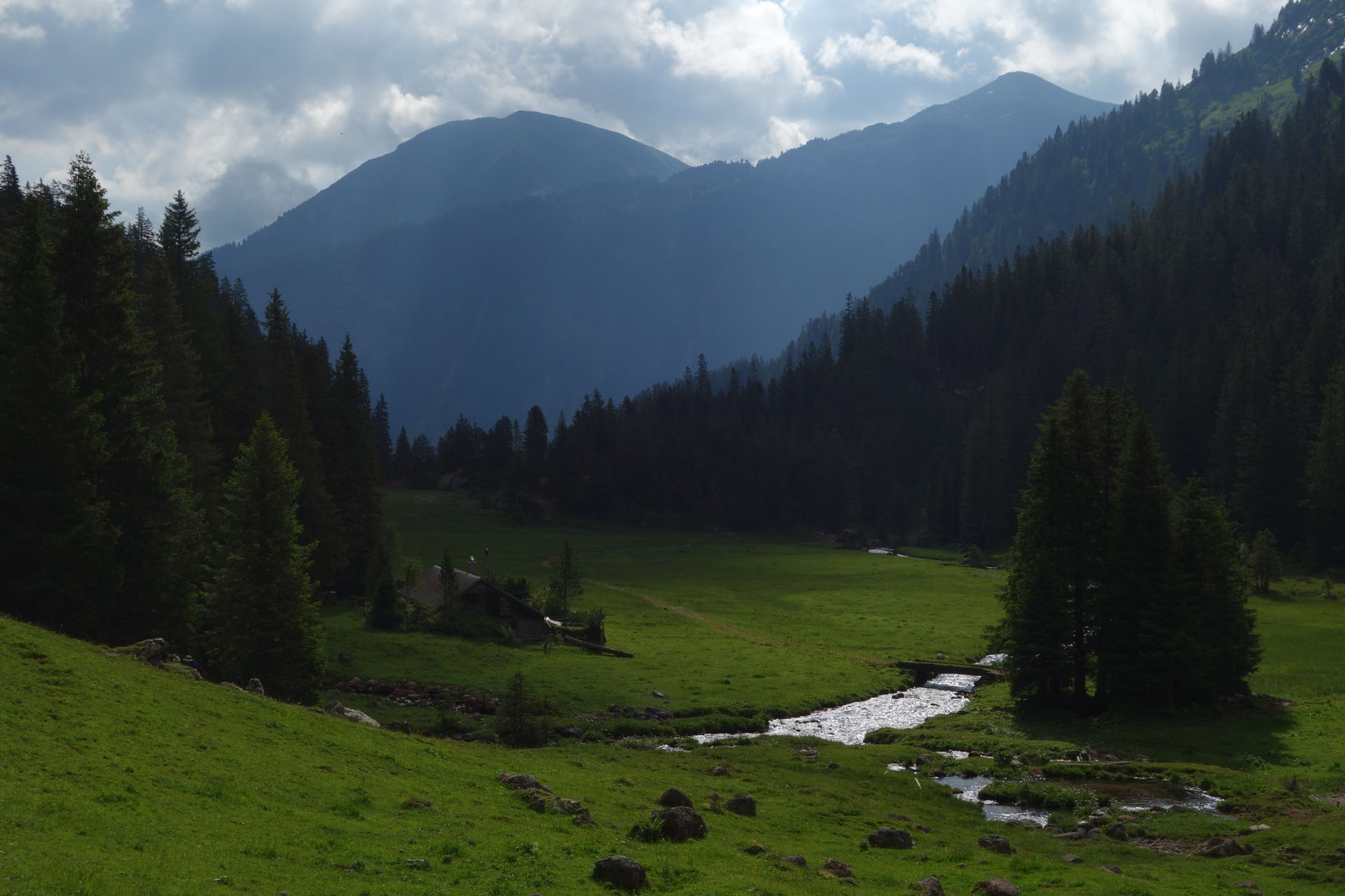Alpwiese mit Bach
