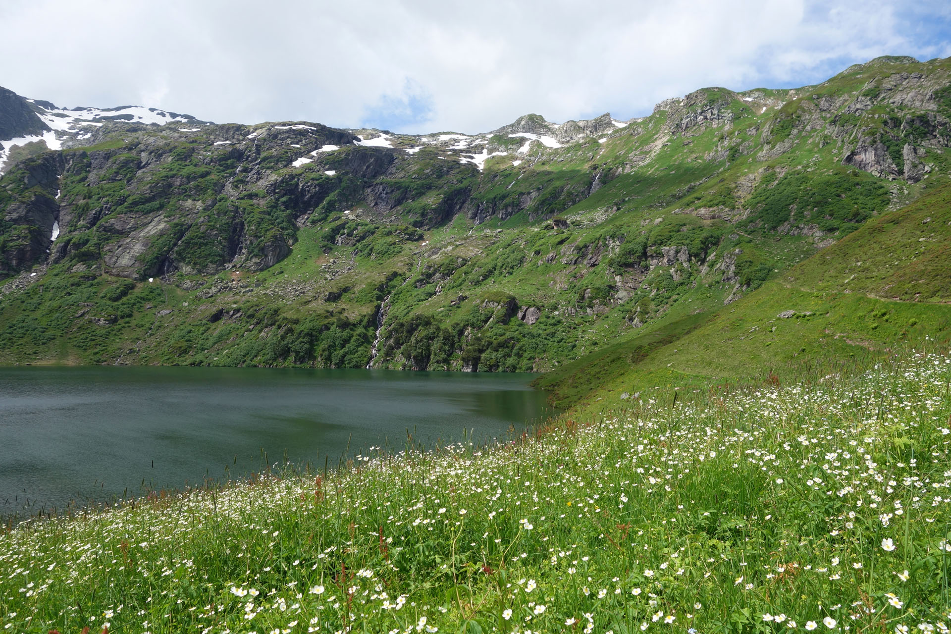 Blumenwiese am Murgsee
