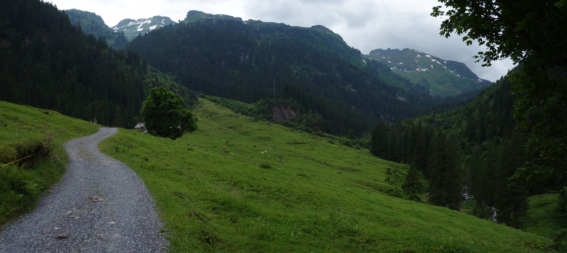 Fahrweg zu den Murgseen