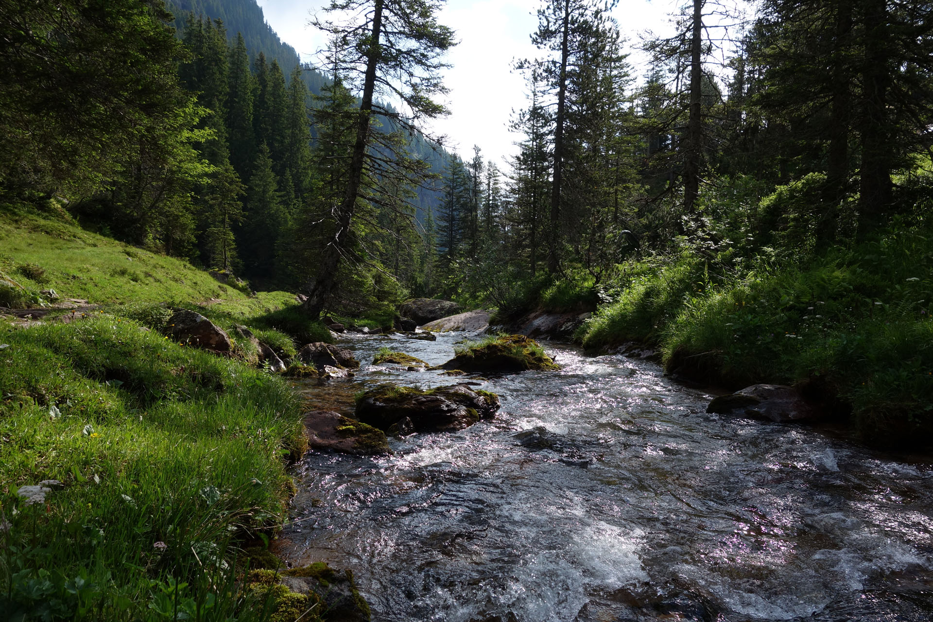 Gsponbach