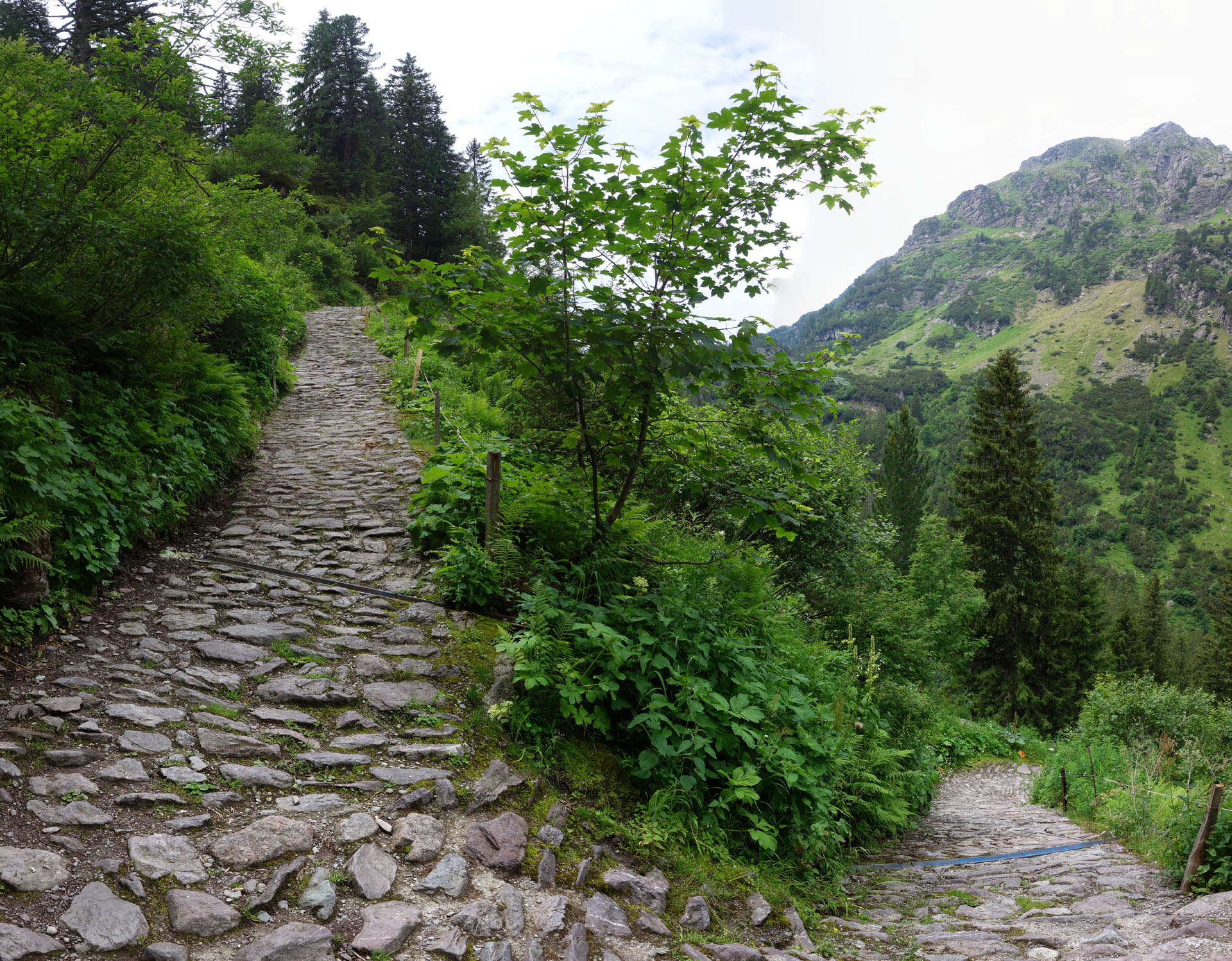 Steile Serpentine