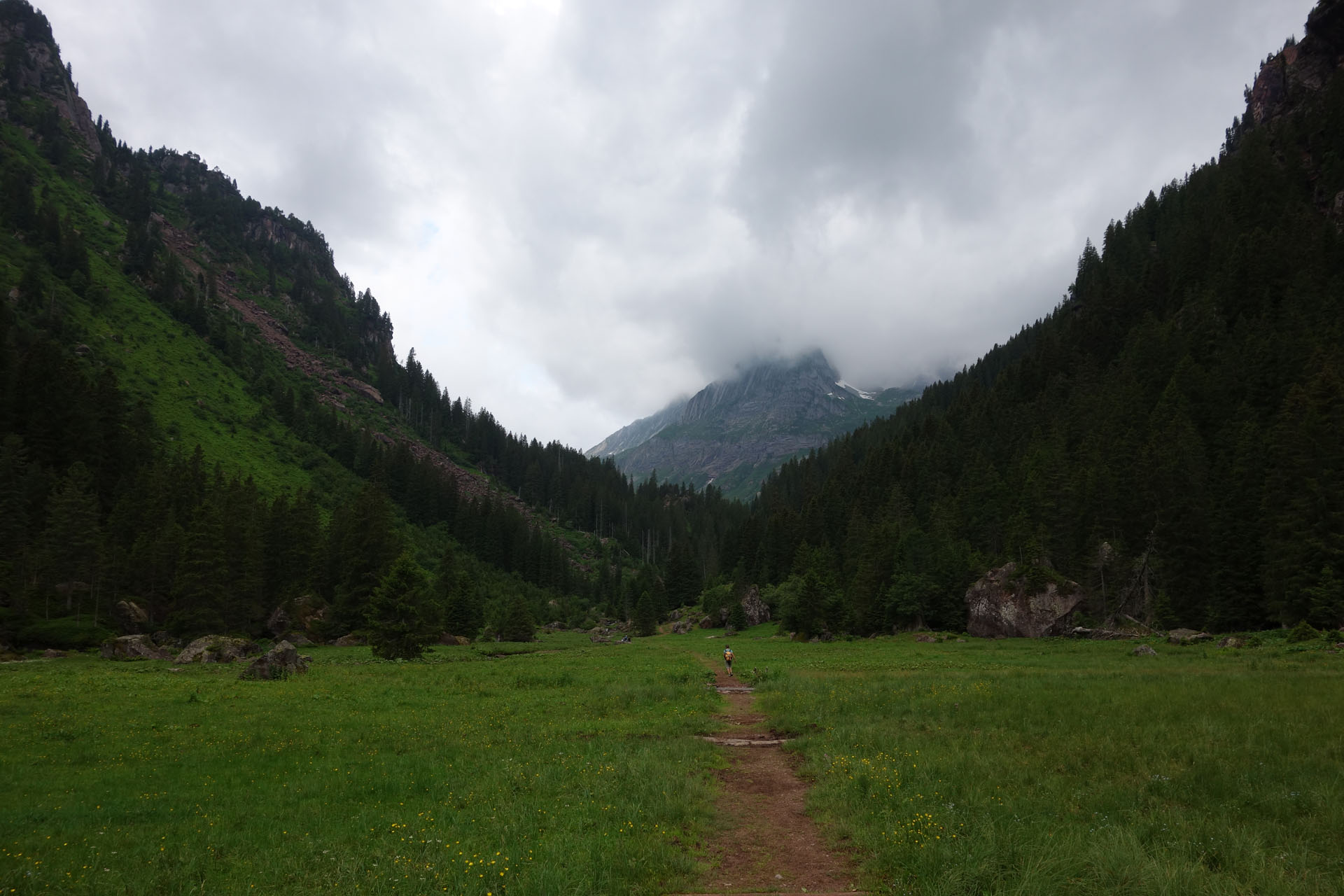 Weg über Wiese