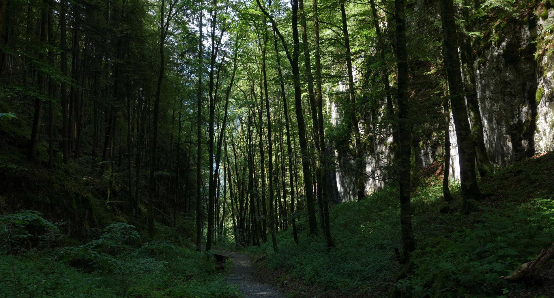 Wanderweg durch Schlucht