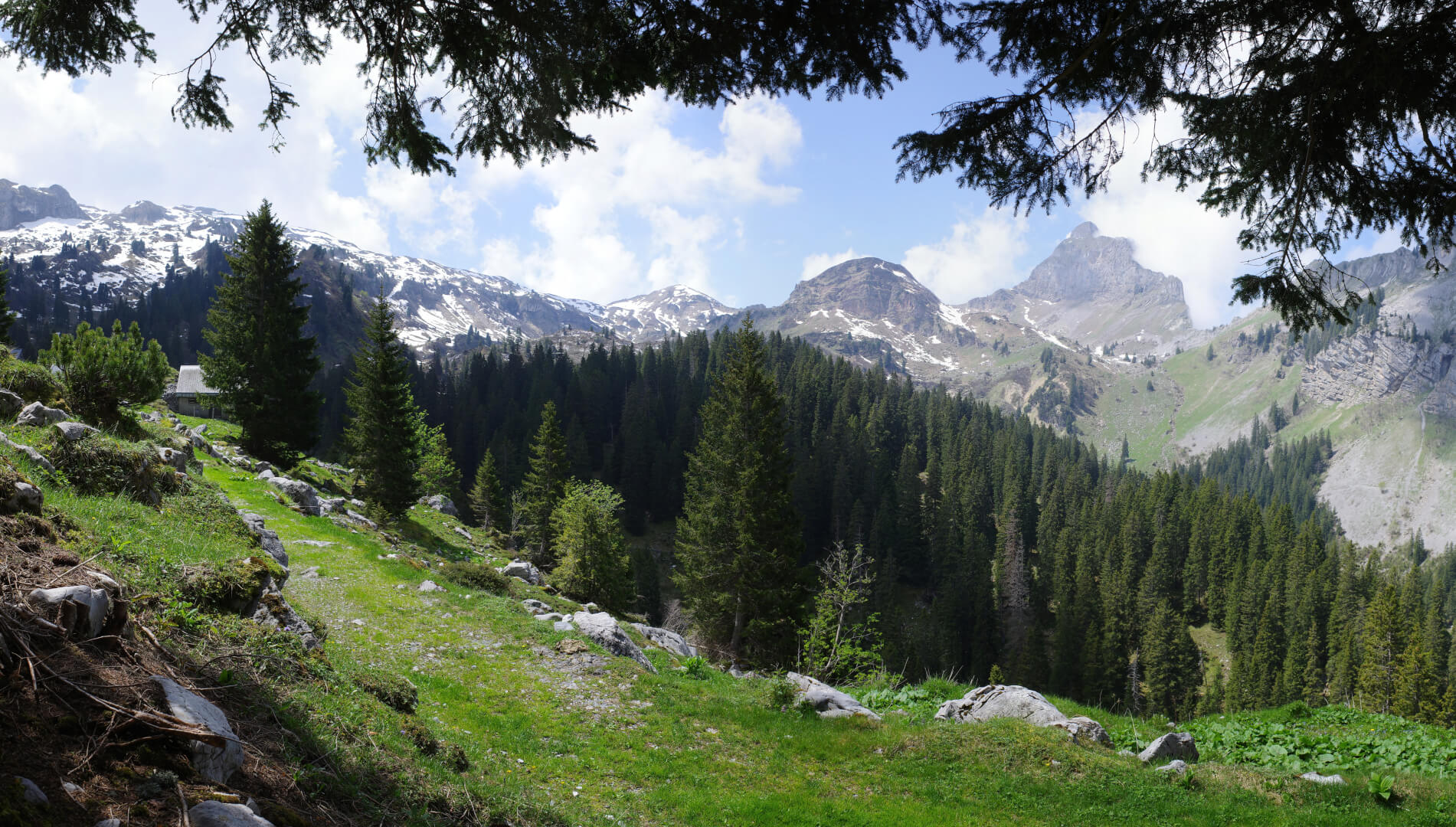Alpen Landschaft