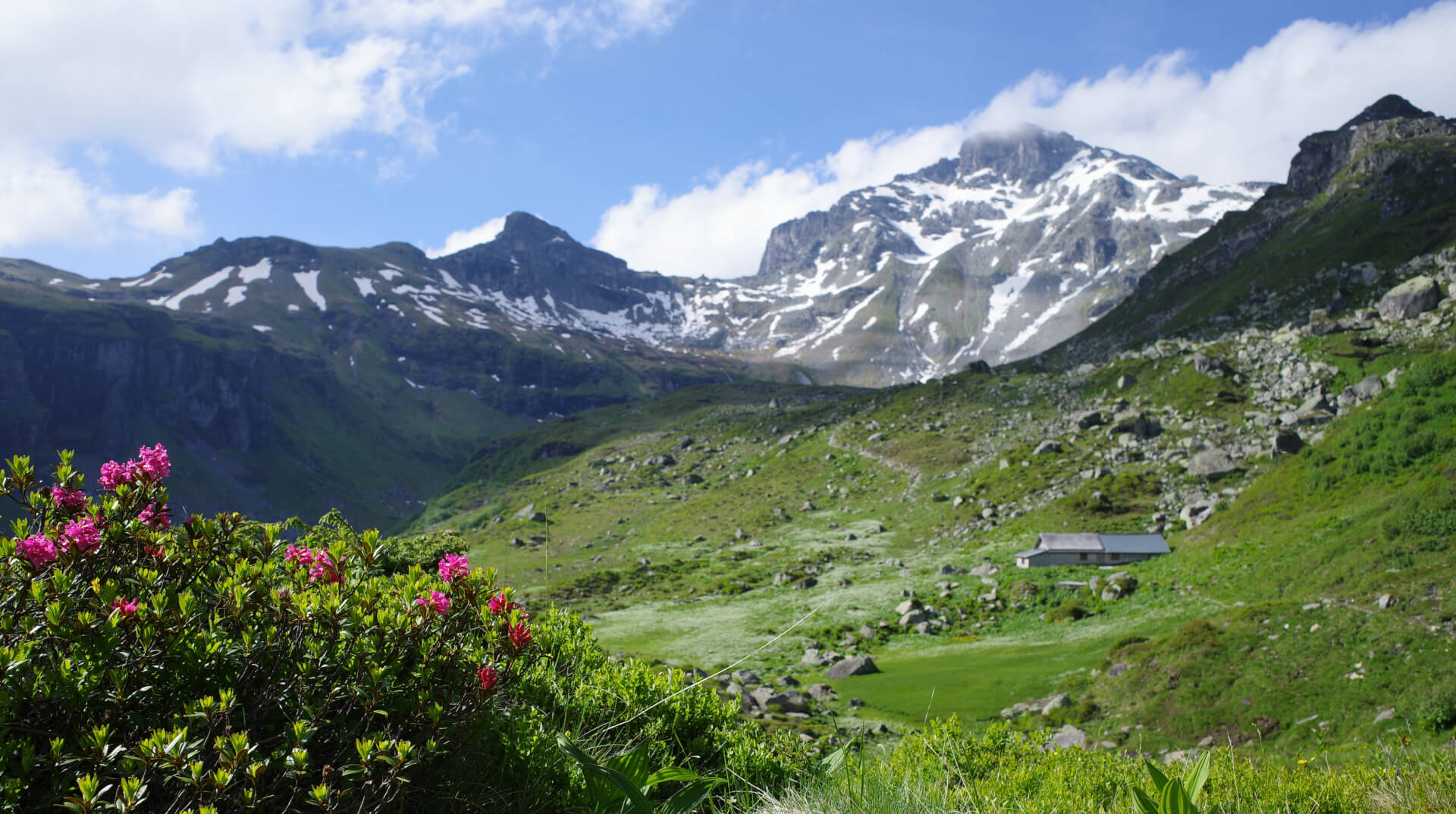 Alp Kärpfstafel