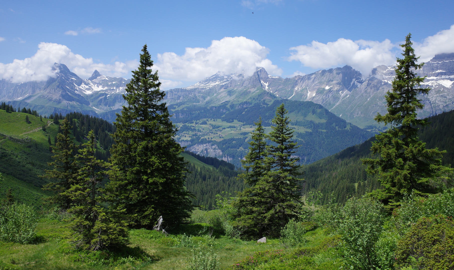 Blick nach Braunwald