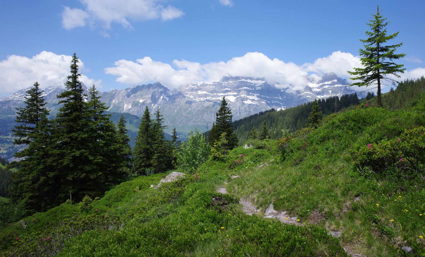 Sommerwanderung