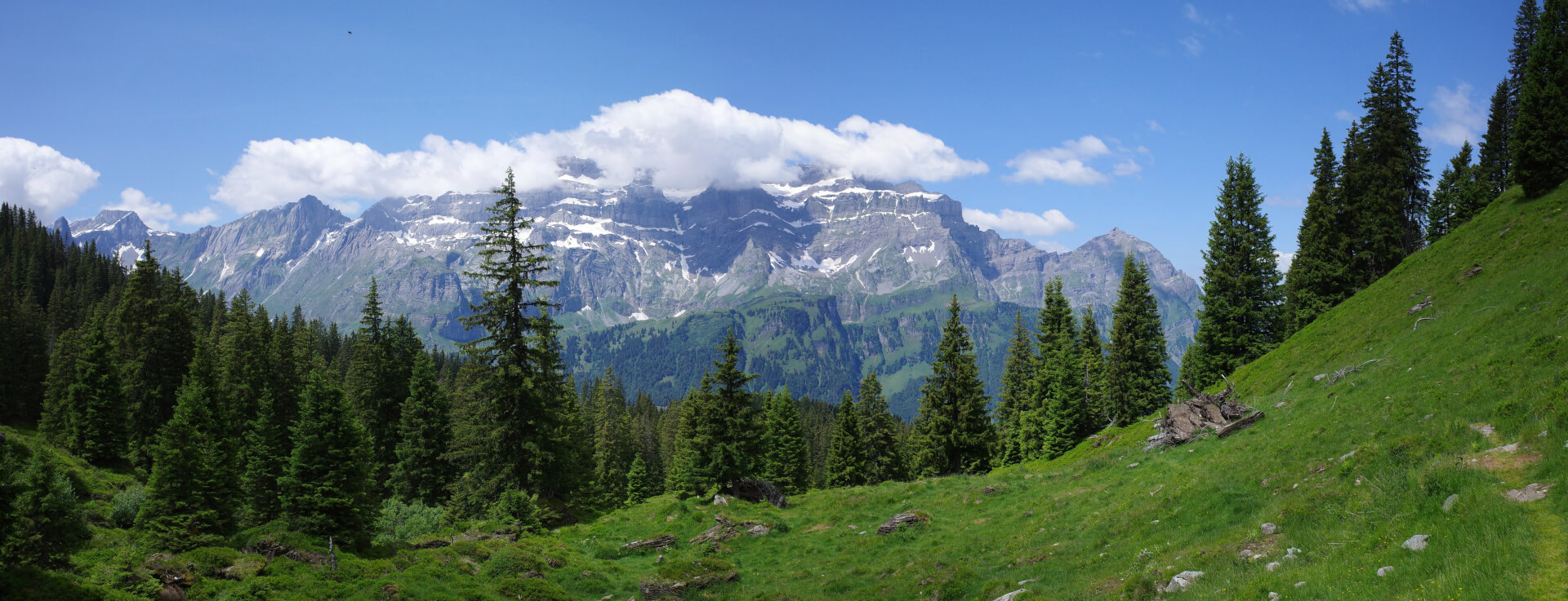 Waldreservat Tüüffenwald