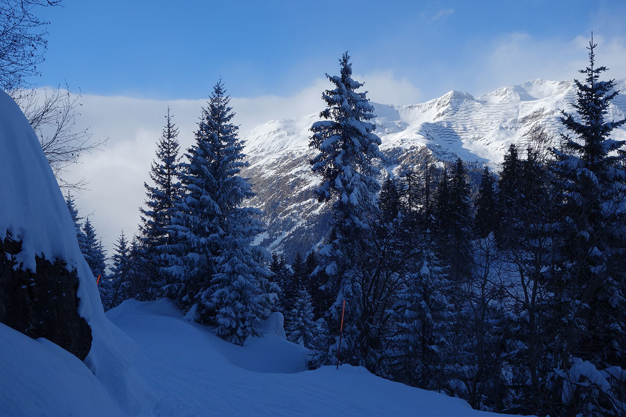 Skiabfahrt durch verschneiten Wald