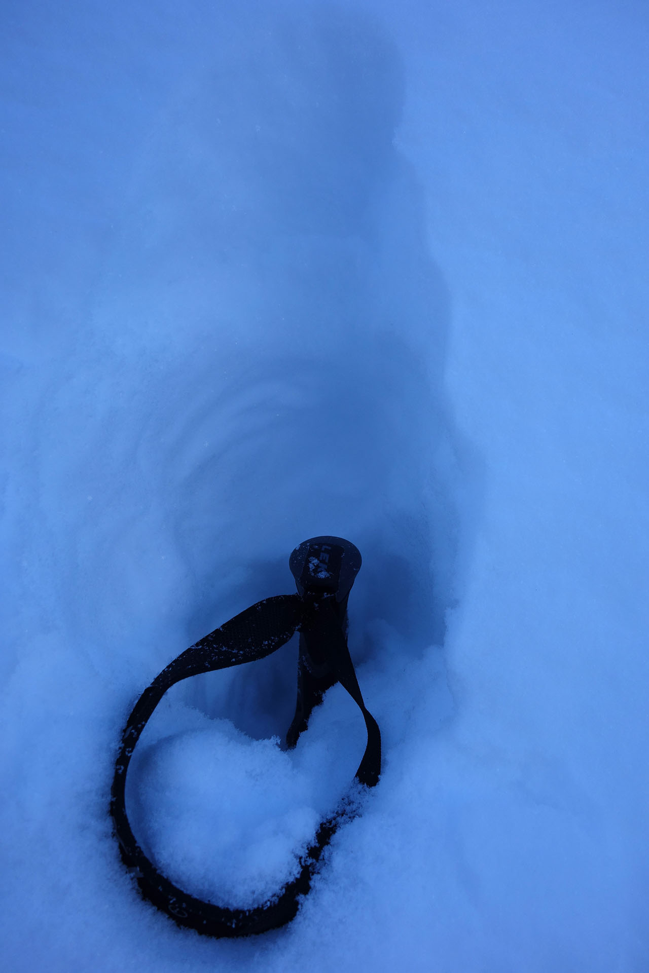Skistock im Tiefschnee