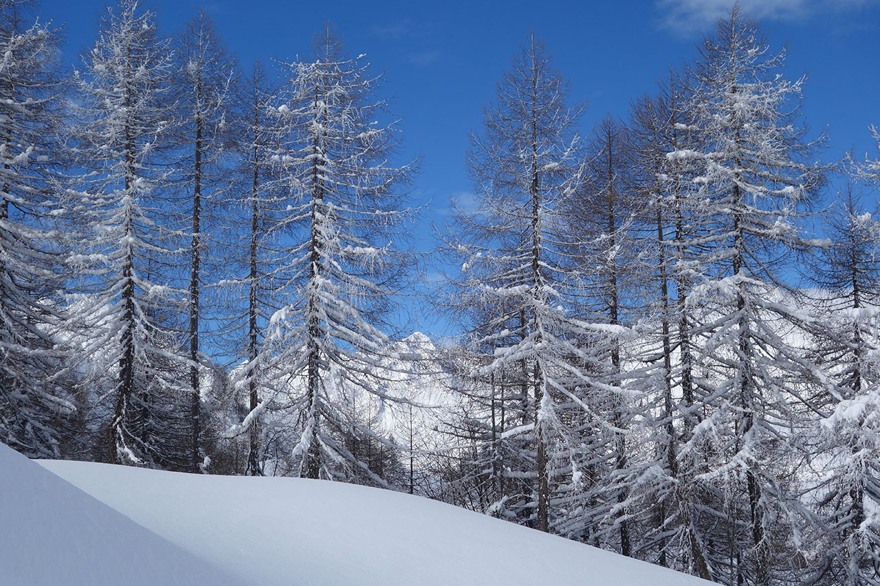 Winterlandschaft