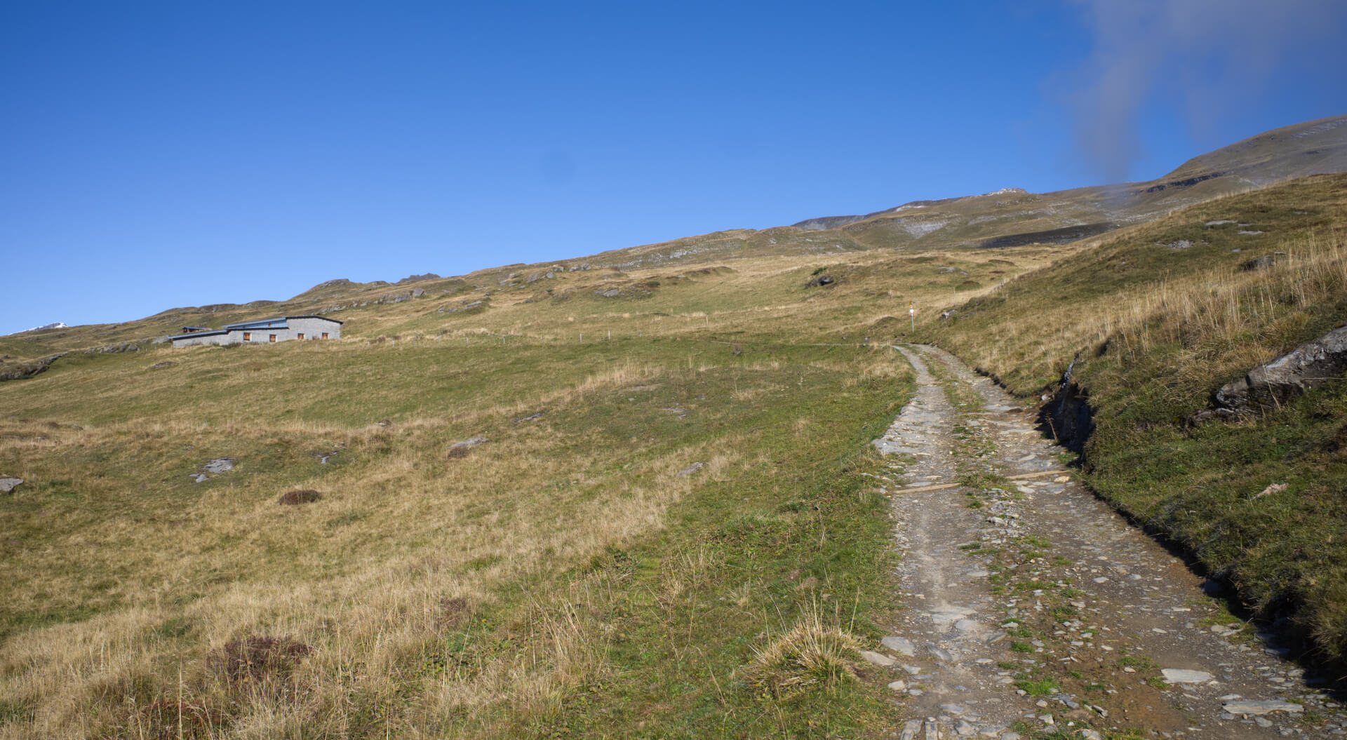 Alpwiesen Flimserstein