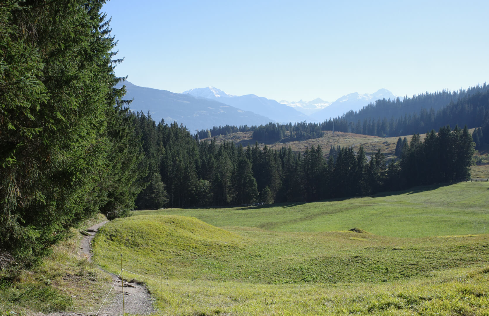 Wanderweg an Waldrand