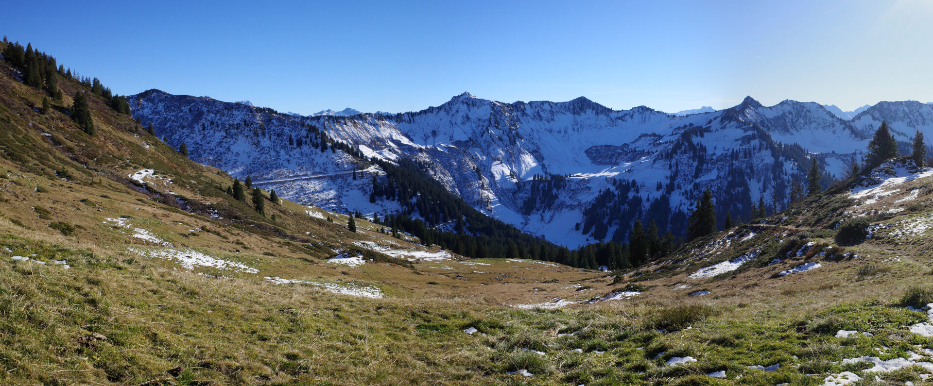 Löffelspitze