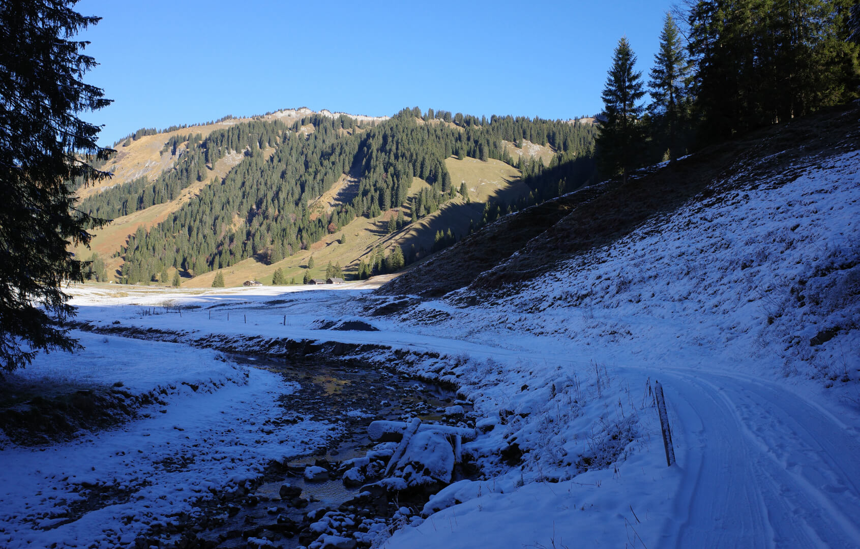 Schneebedeckte Straße
