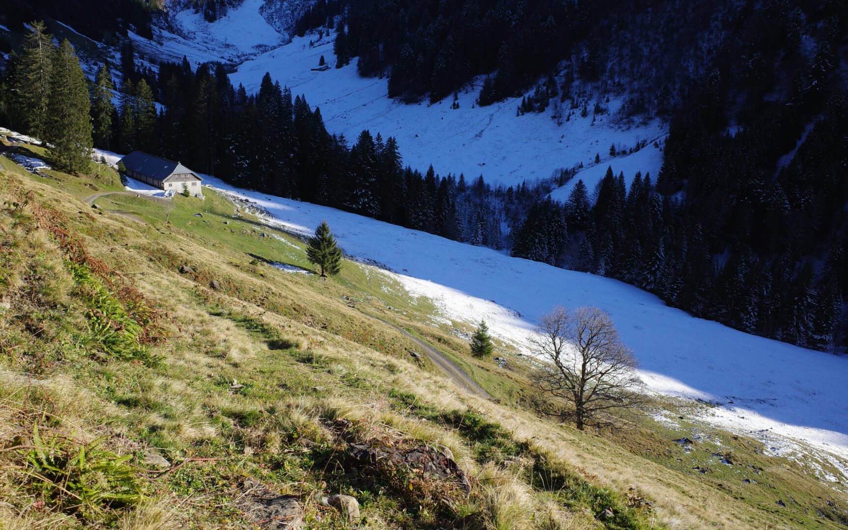 Sommer und Winter
